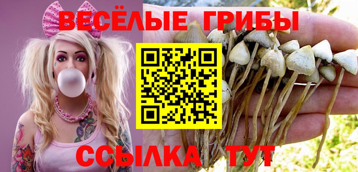 Галлюциногенные грибы GOLDEN TEACHER Щёлково